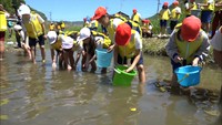 「ホタルが育ちますように」小学生がホタルの餌・カワニナを放流　岡山・真庭市