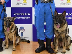 警察犬２匹をジャーキーで表彰　用水路に落ちた高齢女性を発見