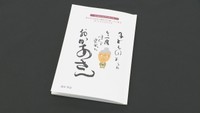 45のメッセージと活動をまとめた冊子