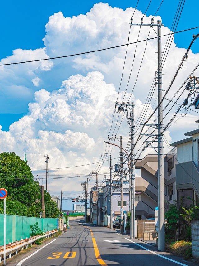 「夏の怪物。」という文言とともに投稿された写真（画像提供／szunaさん）