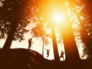 仕事から逃げ出した「ダメな私」。それでも変わらない「愛」があった