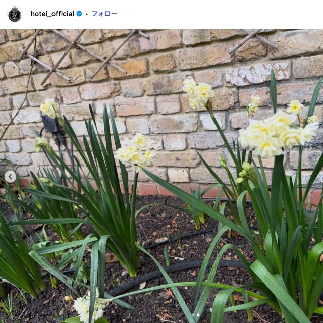 布袋寅泰さんのロンドンの自宅にある庭（本人の公式インスタグラムから）