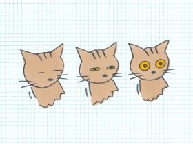 ネコのゆっくりとした「まばたき」の秘密　愛情表現だという逸話は科学的に本当だった！