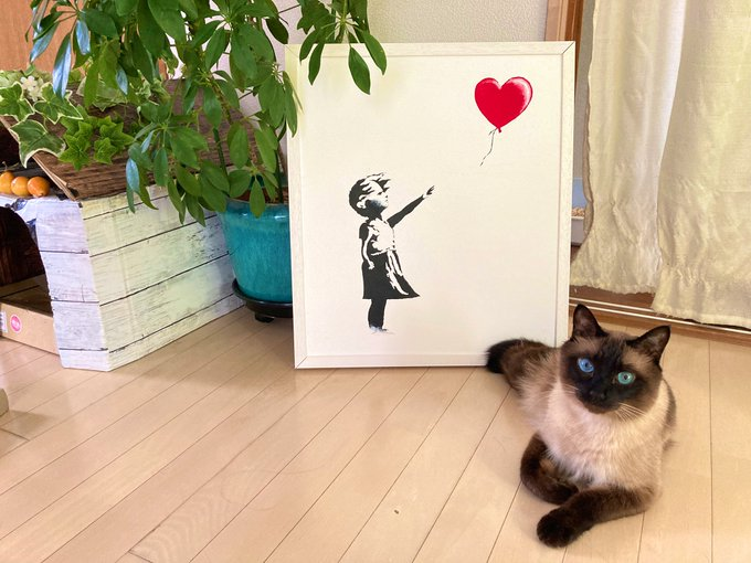 胸毛がもふもふのハリーくん