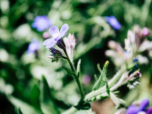 貧乏な家庭で育った私。「お金と愛情どちらが大事？」と聞かれたら、お金と即答する