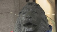 “あのライオン”がちょっと変わった姿に