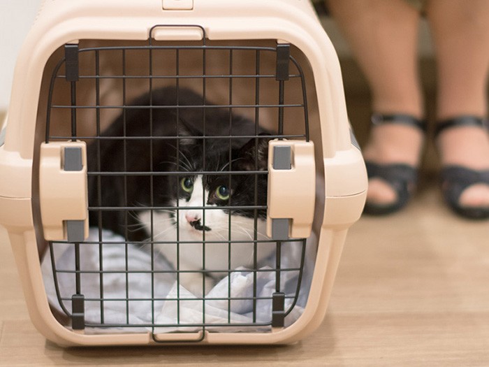 「病院の帰りにアイスでも買ってくれるの？」（小林写函撮影）