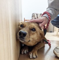 「私ならいませんよ」