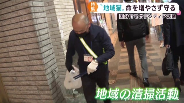 猫が暮らす環境を守る