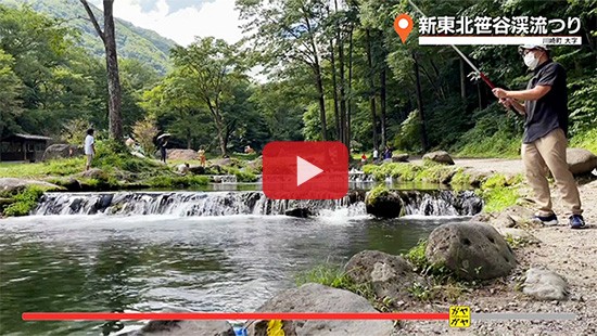 #721新東北笹谷渓流釣り②