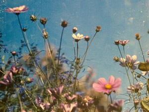 うっかりミスが多い私は天然キャラだと思っていたら、発達障害だった