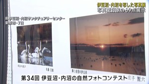 国内有数の渡り鳥飛来地　伊豆沼・内沼の四季を写した写真展　宮城・栗原