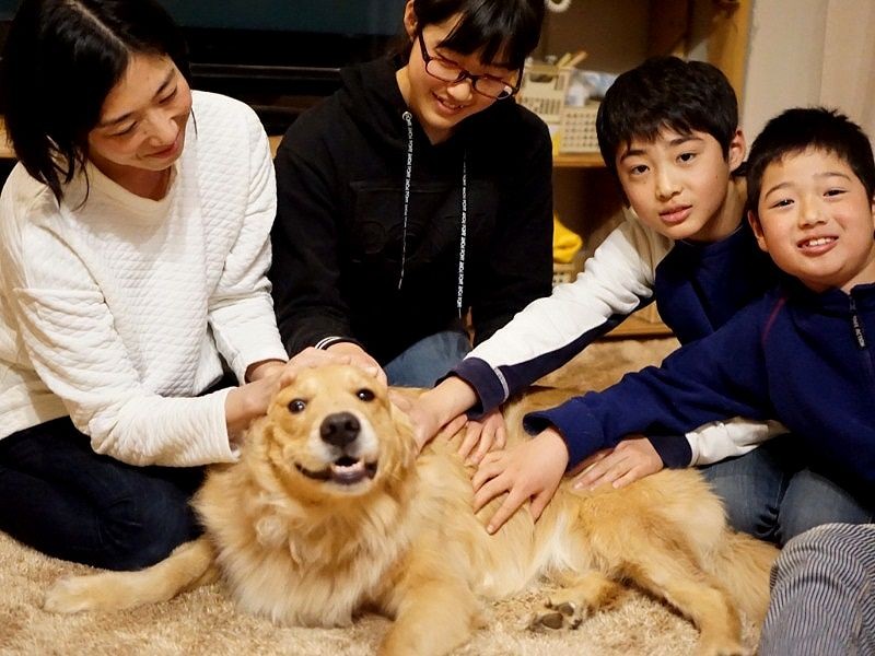 「お兄ちゃんたちも遊んでくれる。この前、拓真君を守ったよ」