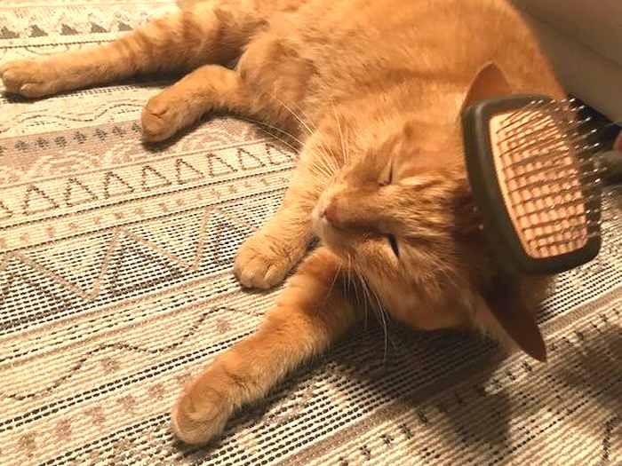 「はぁ～、たまらん」と、崩れ落ちる