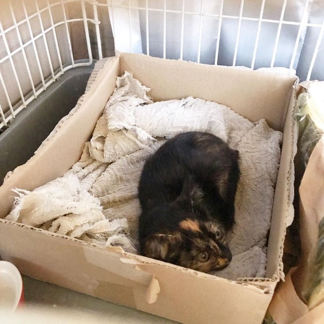 保護当時、幸せをつかんで一安心