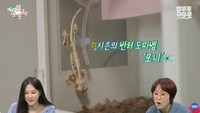 韓国放送局・MBCの公式総合チャンネル「全知的おせっかい視点」キャプチャーより ハン・ジウンは番組で飼っているトカゲを公開した