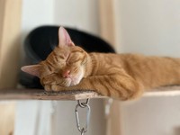 見ているだけで癒される