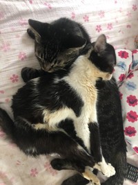 ぬくもりを感じながらスヤスヤ