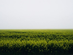 友人の結婚や出産の写真を見下している自分。私は自由なのに「不安」