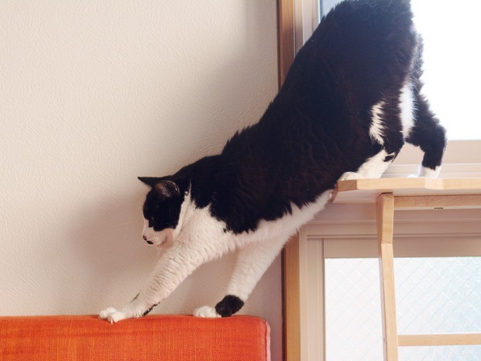 いつものルートで、部屋に帰る（小林写函撮影）