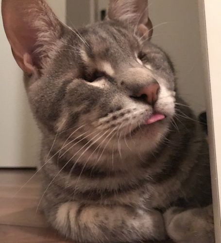 「はい、僕が愉快なナンくんです」（山下さん提供）