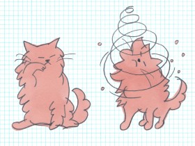 ネコはなぜ頭部を回転させるの？　「猫ドリル」はエネルギー消費をおさえるためだった