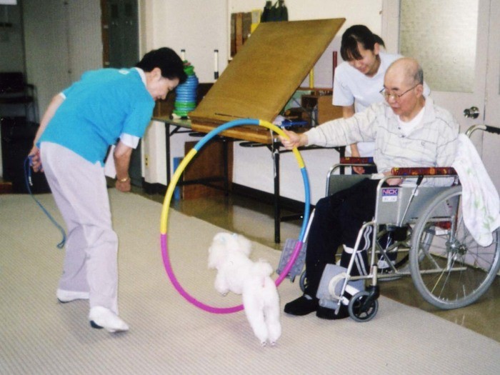 信愛病院で作業療法のフラフープ飛びをする、ちろま。犬が飛びやすいようにフラフープを一定の位置や角度で保持します（柴内先生提供）