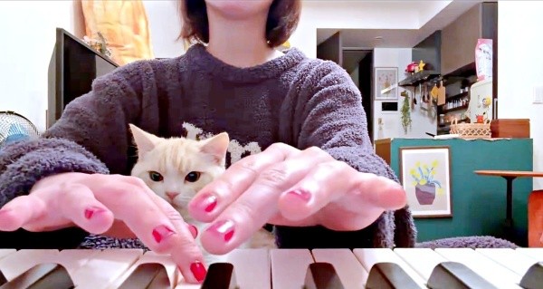 ラストの伴奏まで真剣な面持ちで耳を傾けるうにくん（画像提供：こぴさん）