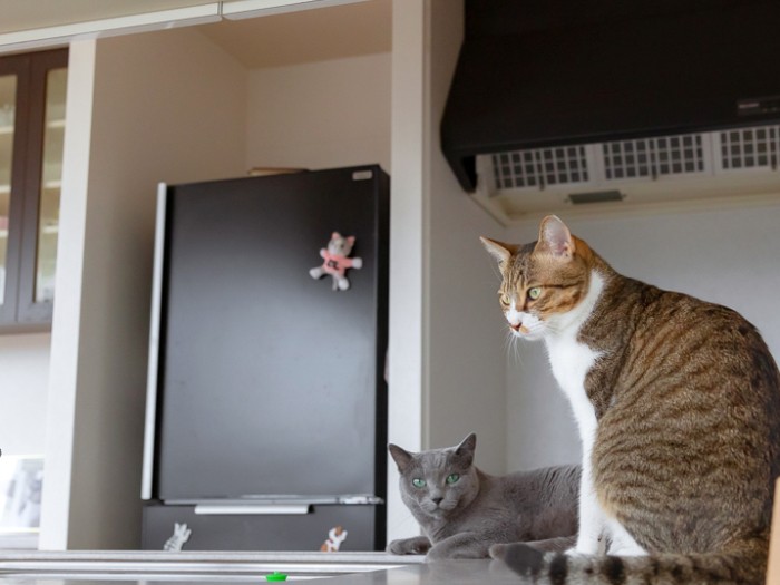 はるに導かれて