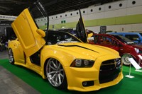 なんかすごい存在感ですね。街で会ってもじろじろ見るのはちょっとこわい