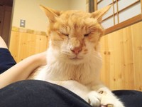 自分が覚えている限り、幸せな日々は消えない