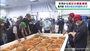 宮城県で９月から底引き網漁が解禁　処理水放出の影響は今のところ無し