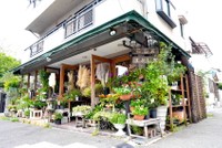 店は阪急・塚口駅から徒歩１０分の閑静な住宅街にある。池田さん夫婦と女性スタッフの３人で経営。花の品質にこだわり、お客さんの要望、予算に合わせたブーケットを一つひとつ心を込めて作ってくれる。観葉植物や苗なども多数取り揃えている