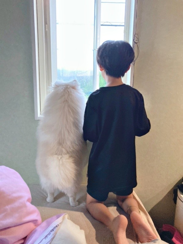仲良く窓の外を眺める息子さんとちくわくん（画像提供：ちくわ（白ポメラニアン）さん）