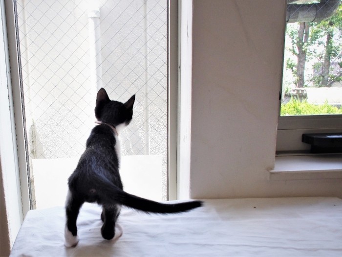 今は、光のなか