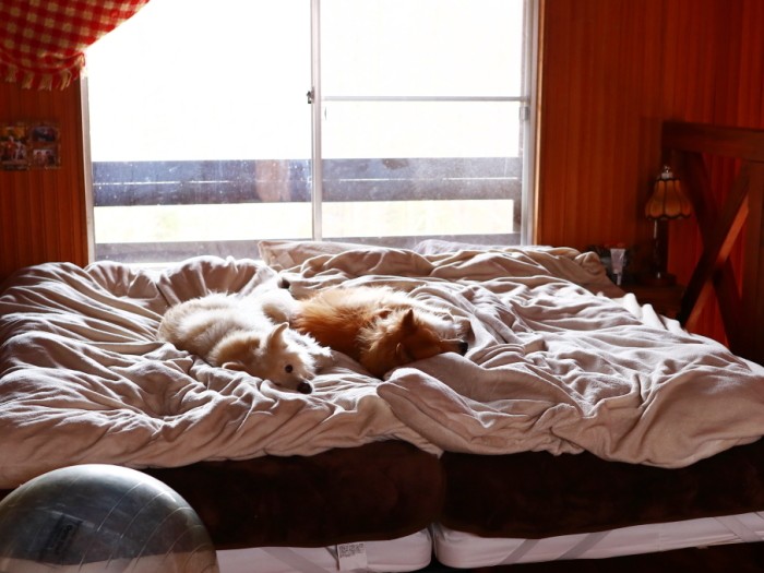 山の家では朝なかなか起きてこない