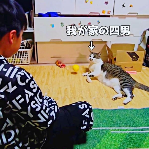 愛猫と息子、見事なキャッチボール まさかの“へそ天キャッチ”に「最後