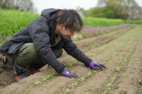 畑で苗を植えるFJPのメンバー（提供：FJP）