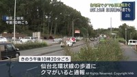 クマの目撃が相次ぐ　仙台・泉区の幹線道路ほか宮城県各地で