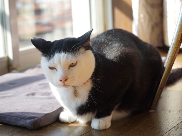 取材の合間に撮影。近づいても逃げない