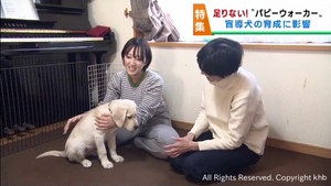 盲導犬育成ボランティアのパピーウォーカーが不足　仙台市でパピーウォーカーに取り組む家族