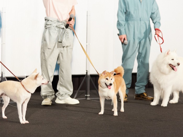 左から「ちえ」「きぃ」「サモン」