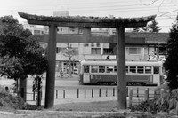 吉田神社の鳥居の前を走行する京都市電（１９７６年、島本さん提供）
