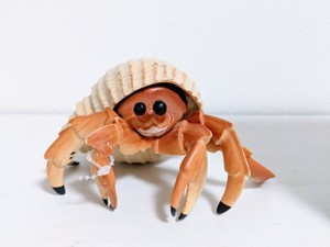 ものかくヒトデ