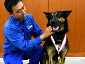シェパードのエイム号に金メダル　警察犬、窃盗未遂の容疑者発見