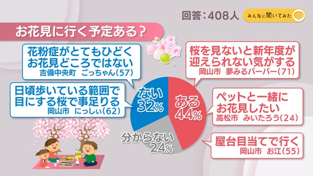 お花見に行く予定ある?【みんなに聞いてみた】