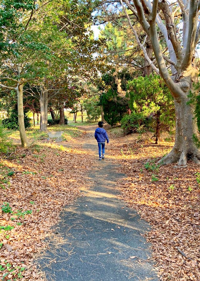3年前のある朝、息子さんと散歩したときのひとコマ（画像提供：ともさん）