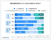 東京と地方における家計状況の印象調査（提供画像）
