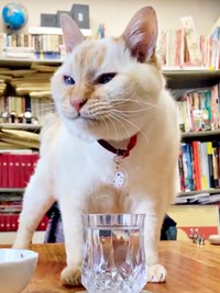 21歳の誕生日を迎えたチャーリーくん（画像提供：half&herbさん）