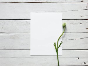 苦い過去も呼び起こしながら書いたエッセイは、一つの物語みたいだ